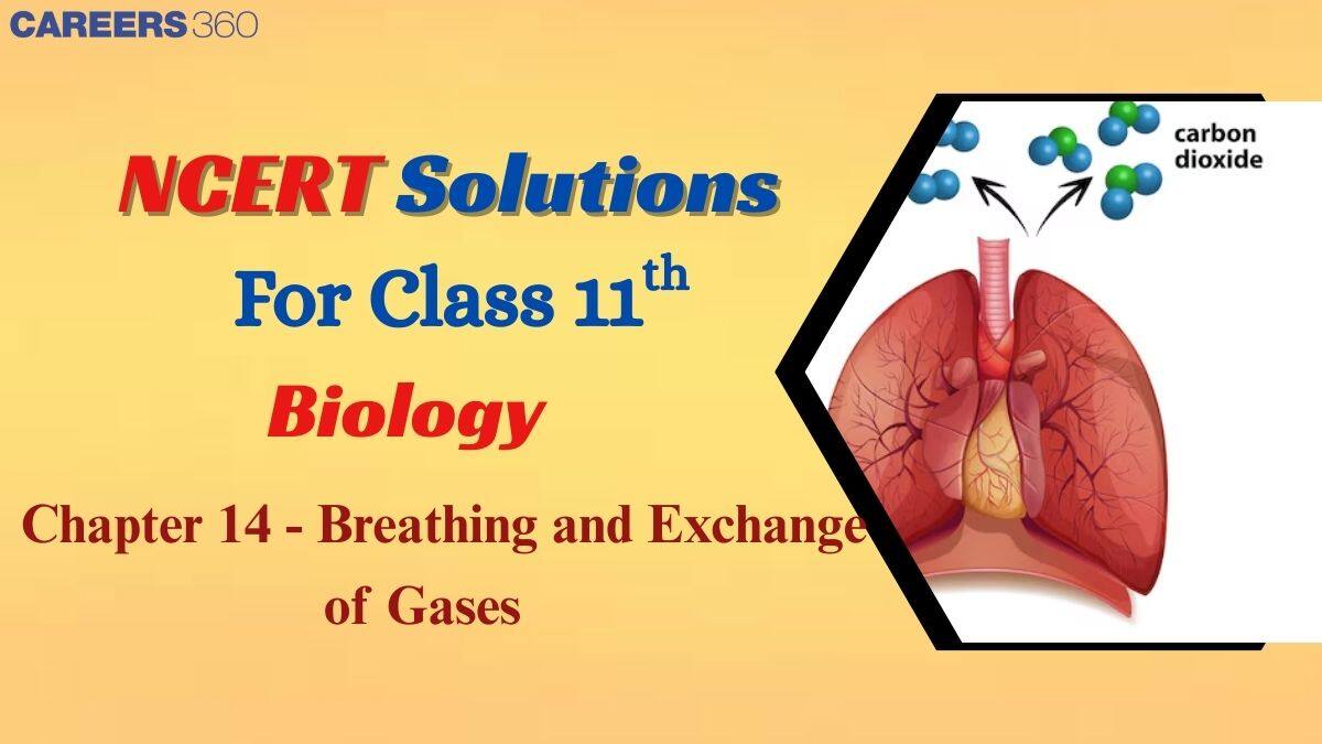 NCERT Solutions for Class 11 Biology Chapter 14 - Breathing and Exchange of Gases